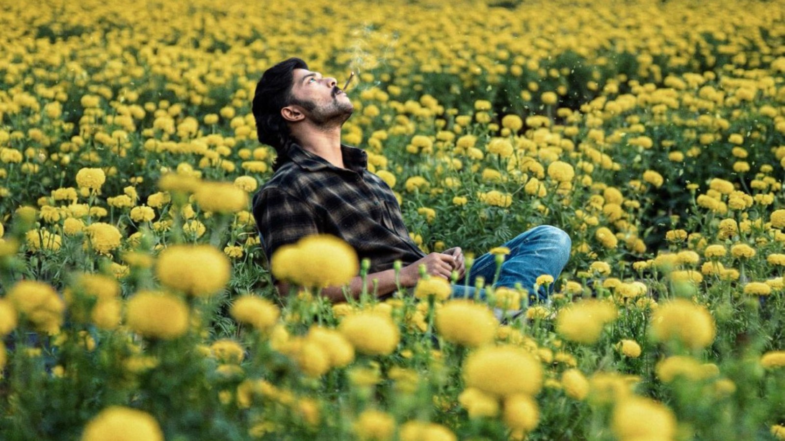 Mango Pachcha release announced: Sanchith Sanjeev’s debut film to land on THIS date