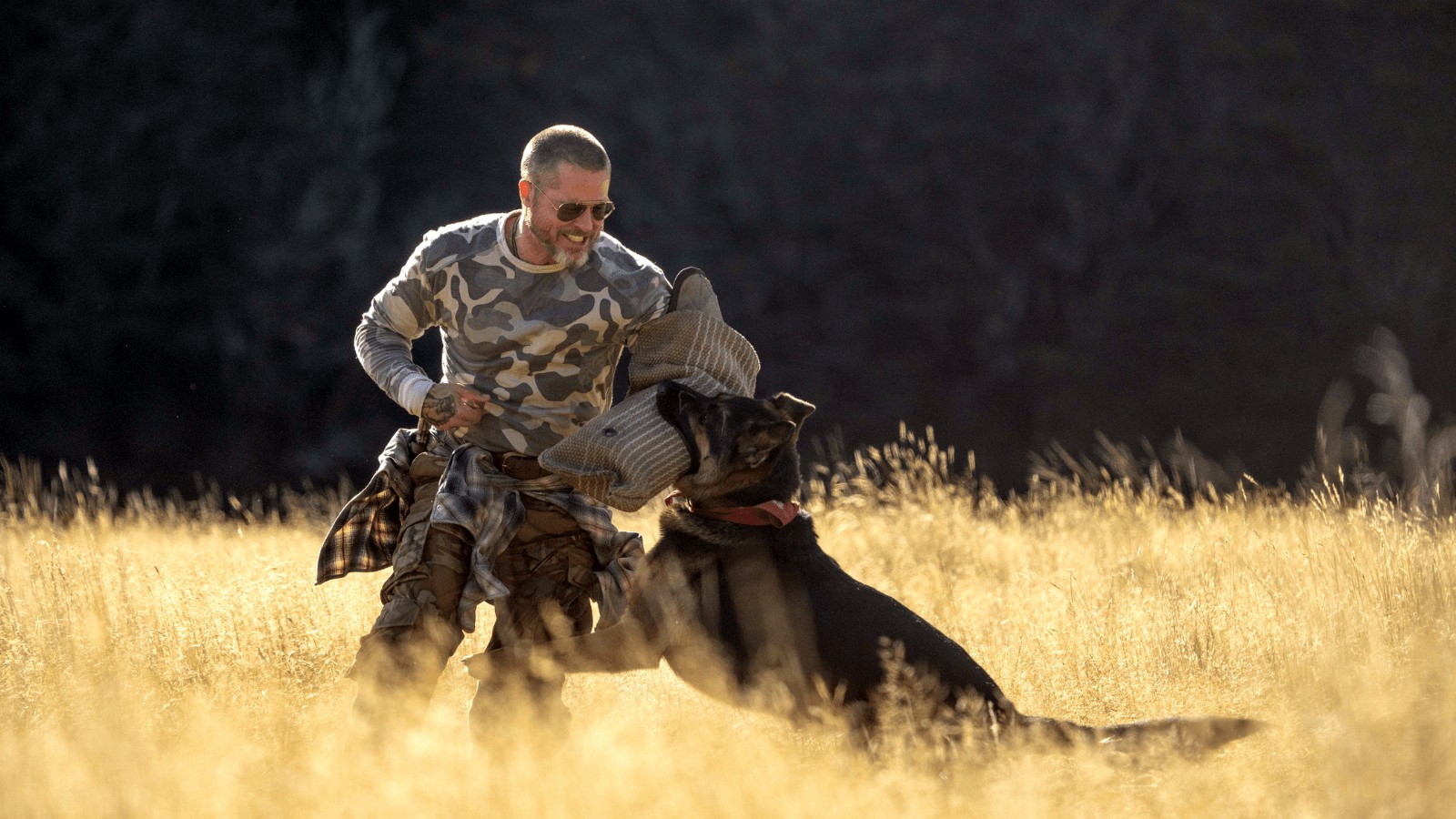 Heart Of The Beast Review: Spectacular Brad Pitt and his canine co-star steer an emotional man and dog vs wild rollercoaster